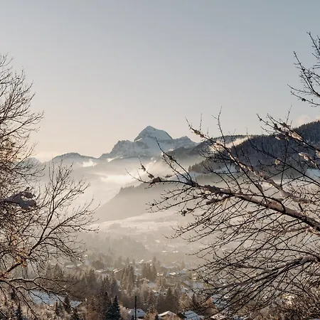 Отель Les Du Mont D'arbois