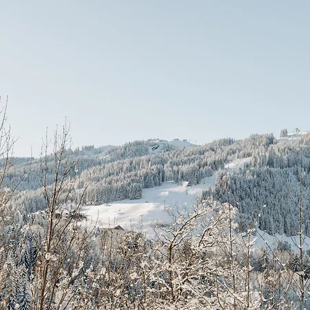 Les Du Mont D'arbois מלון 5*