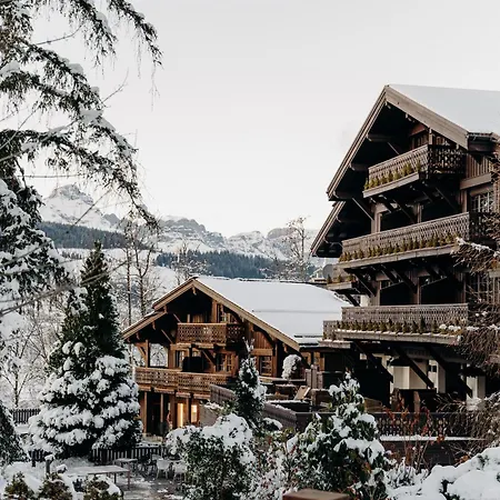 Les Du Mont D'arbois 5* מגב