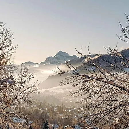 Les Du Mont D'arbois 5* 梅杰夫
