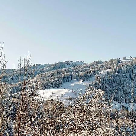 Les Du Mont D'arbois 酒店