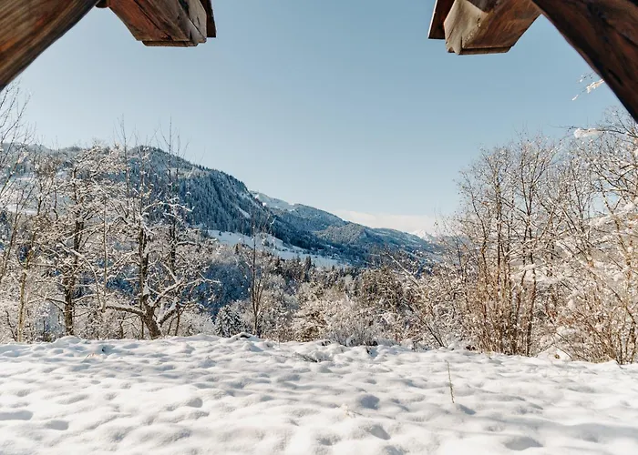 Les Du Mont D'arbois Ξενοδοχείο 5*