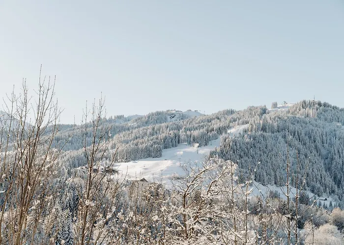 Les Du Mont D'arbois Hotel 5*