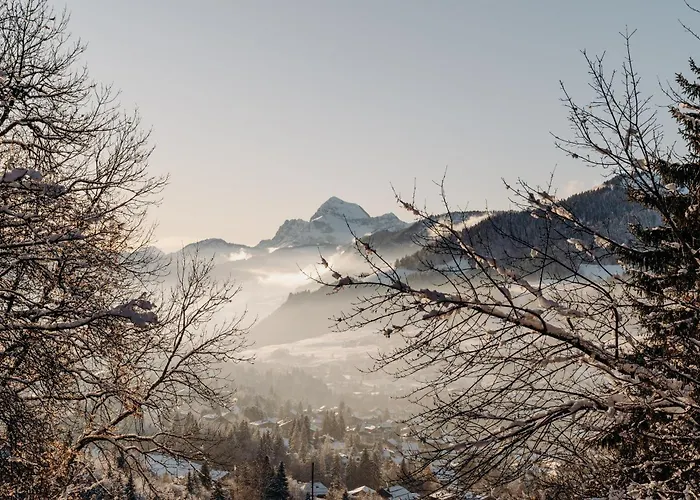 Ξενοδοχείο Les Du Mont D'arbois